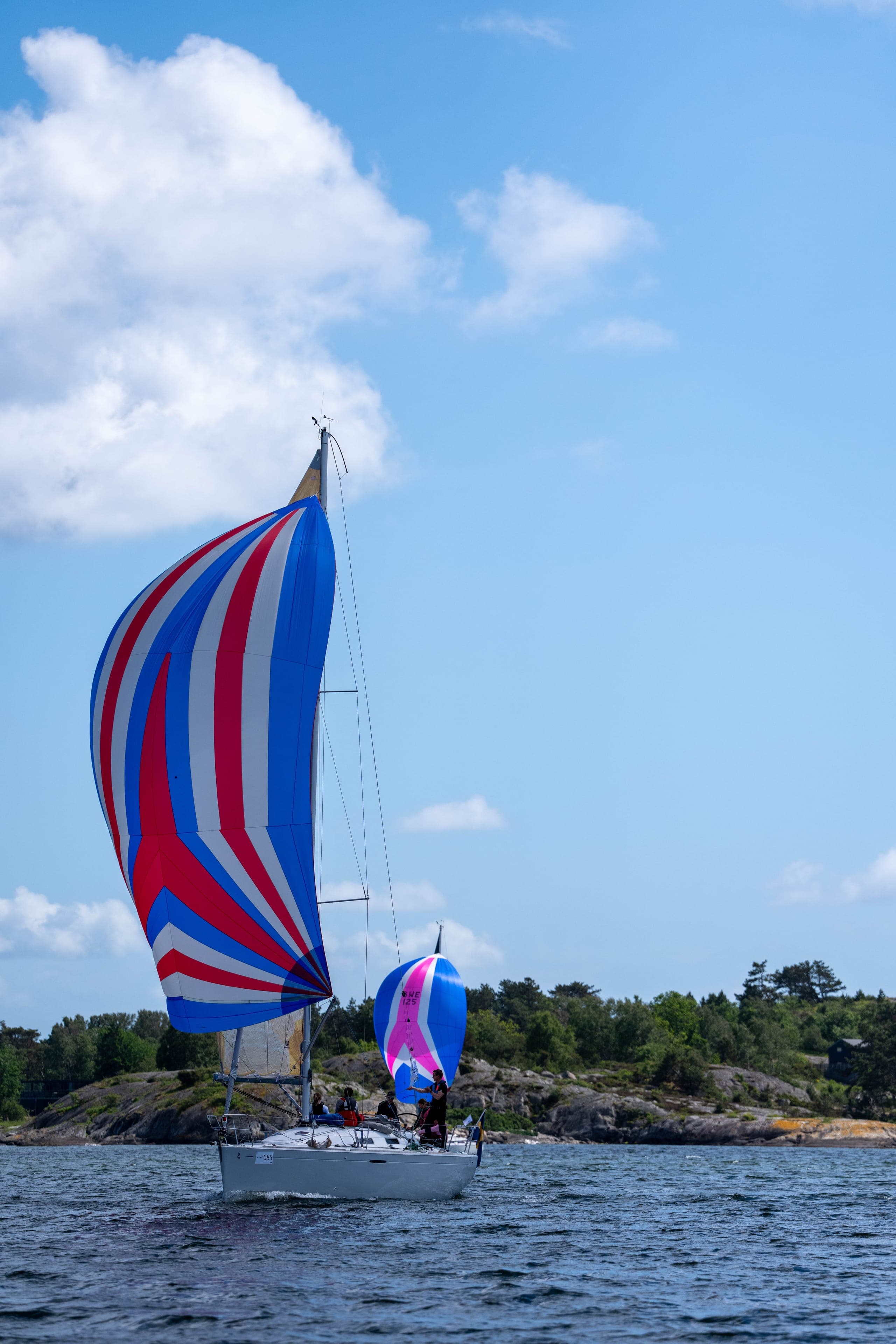 Randig spinnaker i rött, vitt och blått mot tallklädd klippa
